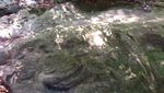 Air Terjun & Surga Kupu-kupu di Siem Reap, Kamboja
