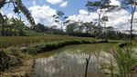 Air Terjun Batu Purba di Sleman: Keren dan Bikin Adem