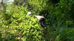 Air Terjun Cantik di Bogor yang Belum Banyak Orang Tahu