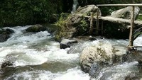 Melewati jembatan bambu yang horor