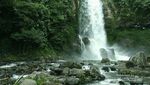 Air Terjun Cantik di Tengah Kebun Kopi