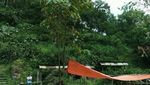 Air Terjun Cantik di Tengah Kebun Kopi
