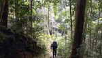 Air Terjun Cantik di Tengah Lebatnya Hutan Kalsel