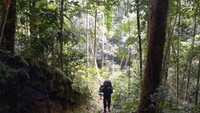 Perjalanan Menuju Air terjun Sungai Karuh