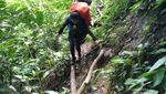 Air Terjun Cantik di Tengah Lebatnya Hutan Kalsel