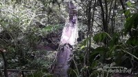 Salah satu jalur trekking menuju air terjun melewati jembatan