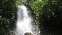 Curug 5