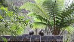 Air Terjun Coban Rondo dan Legenda Cinta Segitiga