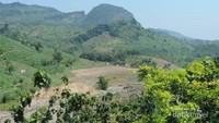 Perbukitan di wilayah selatan Bojonegoro