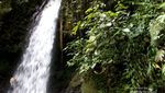 Air Terjun di Gunung Halimun yang Konon Bikin Awet Muda