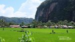 Air Terjun Film Up Ada di Payakumbuh