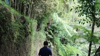 Jalan menuju air terjun