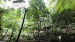Air Terjun Jumog, yang Seru di Karanganyar