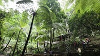 Suasana di sekitar air terjun