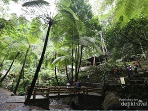 Air Terjun Jumog, yang Seru di Karanganyar