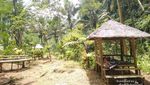 Air Terjun Kapas Biru di Lumajang, Cantik!