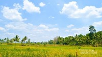 Padang hijau menuju air terjun