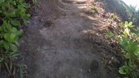 Jalan yang berliku dan berbukit