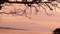 Sisa-sisa Gunung Tambora