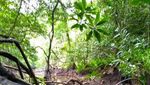 Air Terjun Perawan di Pulau Biak, Syurdori