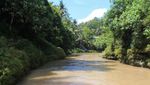 Air Terjun Secantik Ini Ada di Gunungkidul!