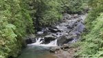Air Terjun Sekumpul yang Tersembunyi di Hutan Buleleng