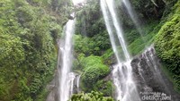 Air terjun ganda Sekumpul