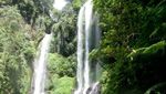 Air Terjun Sekumpul yang Tersembunyi di Hutan Buleleng