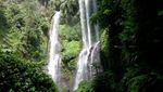 Air Terjun Sekumpul yang Tersembunyi di Hutan Buleleng