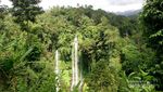 Air Terjun Sekumpul yang Tersembunyi di Hutan Buleleng