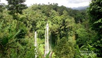 Pemandangan Sekumpul dari anak tangga
