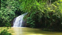 Suasan asri dan alami sangat terasa di sini.