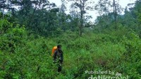 Menelusuri jalan setapak