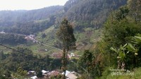 Perbukitan