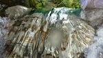 Air Terjun Tongkat dan Kolam Abadi di Binjai