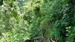 Air Terjun Tumpak Sewu Lumajang yang Makin Mendunia