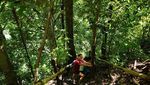 Air Terjun Waimarang Pas untuk Petualang