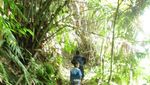 Air Terjun yang Punya Pantai di Sumatera Utara, Harus Lihat!