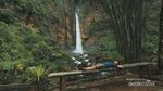 Air Terjun yang Segar di Lumajang