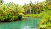 Hutan di sekitar sungai masih alami