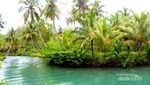 Ajaib! Ada Sungai Biru di Pacitan