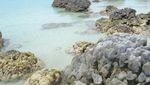 Ajaib! Wisatawan Bisa Terapung di Air Pantai Tureloto, Nias