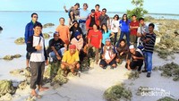 Latar Foto Yang Indah Seperti Sebuah Lukisan