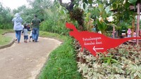 Petualangan Dinosaurus