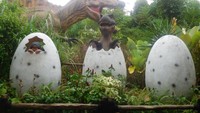 Tempat selfie favorit, dalam cangkang telur