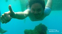 Pulau Macan