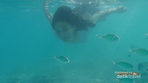 Akhir Pekan, Ayo Snorkeling di Kepulauan Seribu
