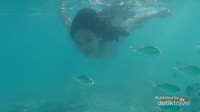 Snorkeling di Pulau Perak bersama Ikan