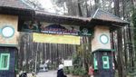 Akhir Pekan di Bogor, Asyiknya Mampir ke Gunung Pancar