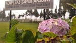Akhir Pekan di Dieng, Bisa Ngapain Saja?